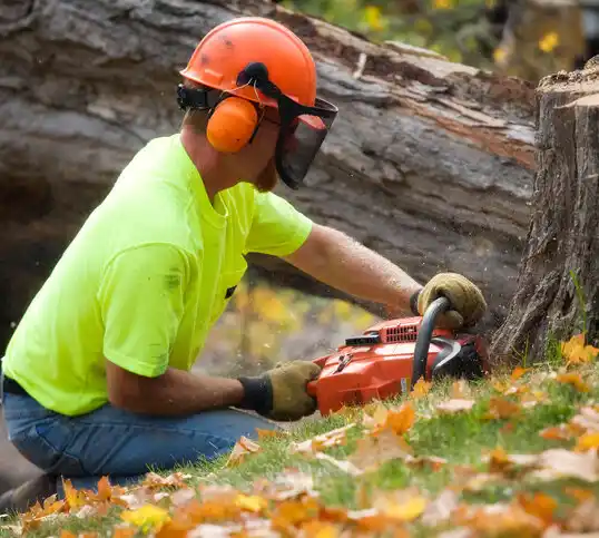 tree services Fairborn